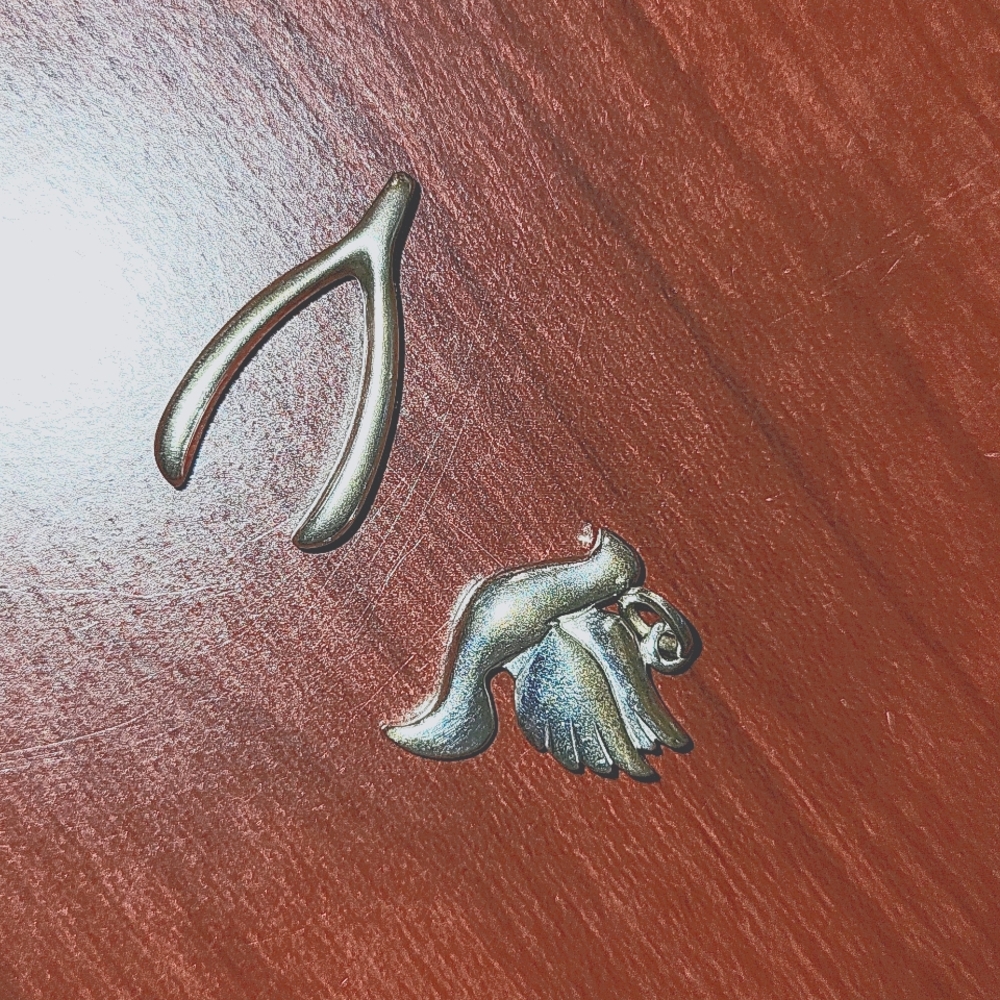 2 Silver Charms DOVE WISHBONE